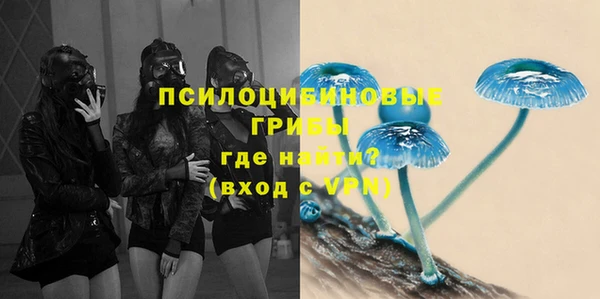 гидропоника Покачи