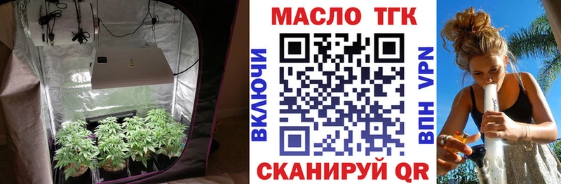 ТГК концентрат  Купить где  Шали 