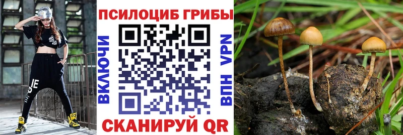 Галлюциногенные грибы Magic Shrooms  Купить закладки  Шали 
